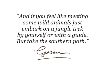  And if you feel like meeting some wild animals just embark on a jungle trek by yourself or with a guide. But take the southern path.